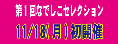 【第回なでしこセレクション】2024年11月18日(月)東京都開催決定！！